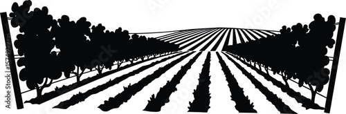 Minimalist Vineyard Design