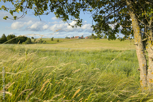 Fototapeta Naklejka Na Ścianę i Meble -  Rural landscape of Warmia near Reszel, Poland