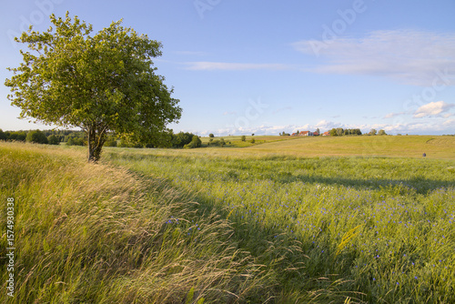 Rural landscape of Warmia near Reszel, Poland