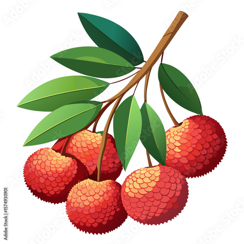 litchi hangs on a branch