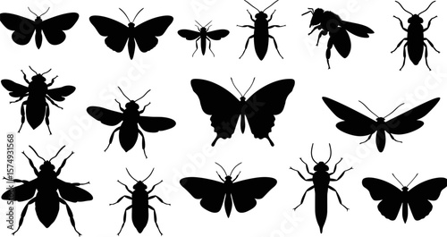 Black silhouette insect collection vector illustration butterflies moths bees beetles bugs fly ant wasp