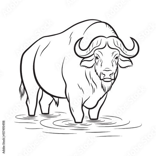Classic Buffalo Aura - Buffalo vector - Buffalo Line art - Buffalo Drawing - Vector Lineart of Buffalo - Buffalo icon - formidable essence

