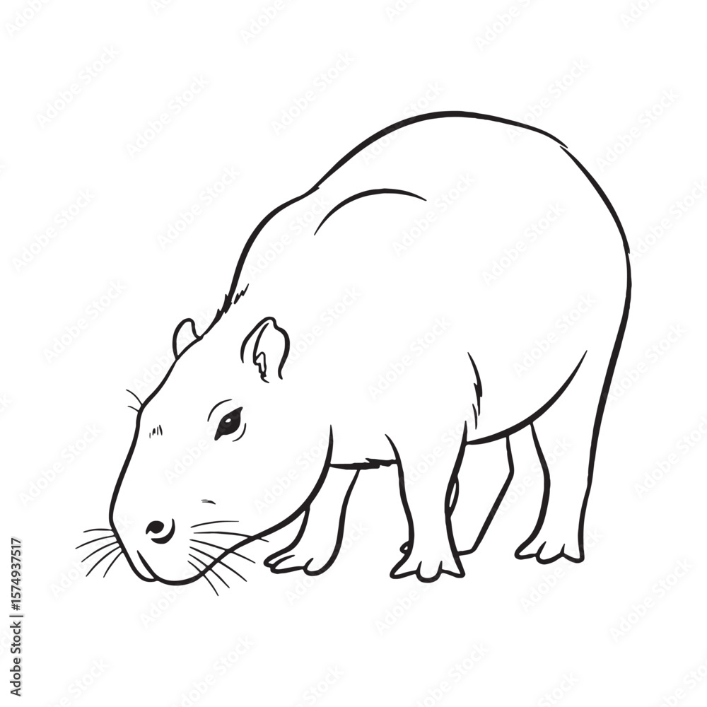 Fototapeta premium Presenting Capybara Spirit - Capybara vector - Capybara Line art - Capybara Drawing - Vector Lineart of Capybara - Capybara illustration - reflecting its true essence