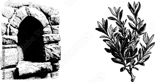 Engraved ancient wall niche with botanical branch for artistic design