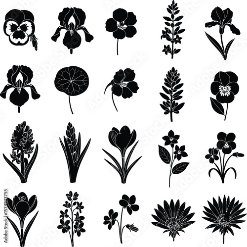 Black and white silhouettes of various botanical flowers including irises pansies hyacinths and crocuses