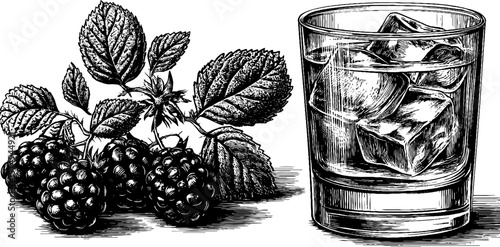 Engraved blackberry bramble and iced drink set for vintage design