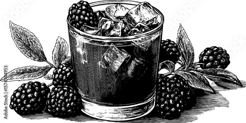 Engraved illustration of blackberry sage julep for beverage design and menu decorations