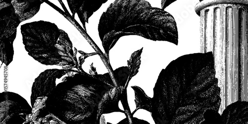 Engraved botanical collage with capitol column detail for creative design