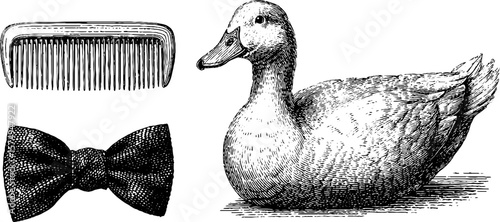 Engraved duck with bow tie and comb art set for unique collage