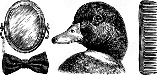 Elegant duck with bow tie: engraved illustration set for classic design