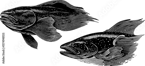 Engraved eel illustrations with dynamic body curl and fins for artistic design