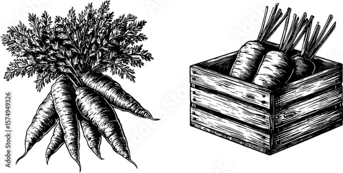 Engraved vegetable art: freshly dug carrots for rustic decor and kitchen design
