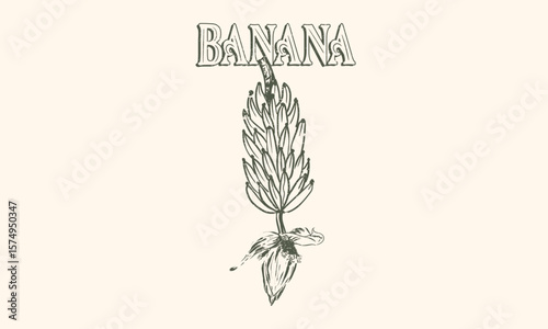 Organic food artwork for for t shirt and poster. Fruits of the spirit. Vintage banana art. Summer food poster design.