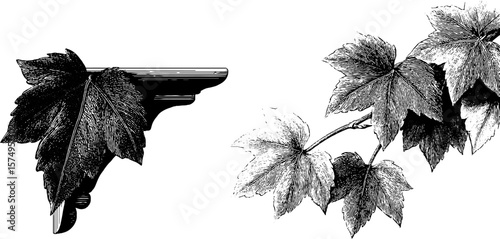 Artistic engraved leaf shaped corbel design for decorative architecture