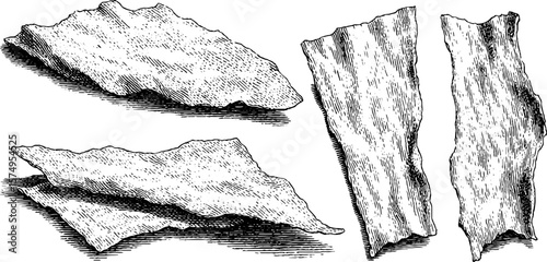 Engraved nori seaweed sheets illustration set for culinary and design projects