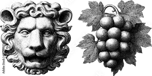 Engraved ornamental facade design with lion head and grapes motif