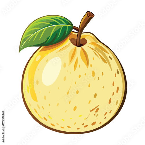 Round Nashi pear with smooth yellowish skin and white juicy interior shown in vector style. Perfect for Asian food illustrations and nutrition infographics.