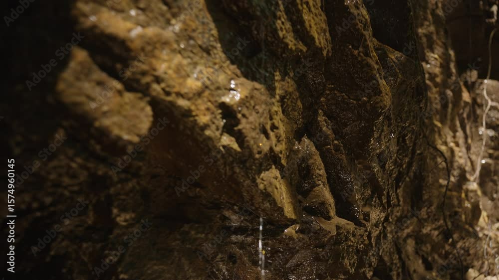 Woman Collects Water Dripping from Rock Wall in Jungle Using Her Hand Under Sunlight, Close-Up Side Angle, Concept of Survival and Connection with Nature Woman Collects Water Dripping from Rock Wall in Jungle Using Her Hand Under Sunlight, Close-Up Side Angle, Concept of Survival and Connection with Nature