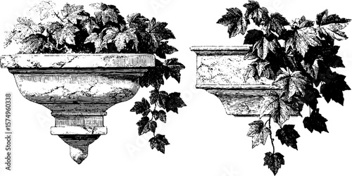 Vintage stone fountain spout with lush greenery for classic decorative design