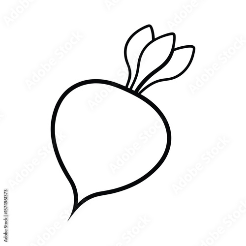 vector illustration of an beetroot