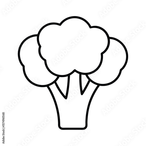 vector illustration of a broccoli