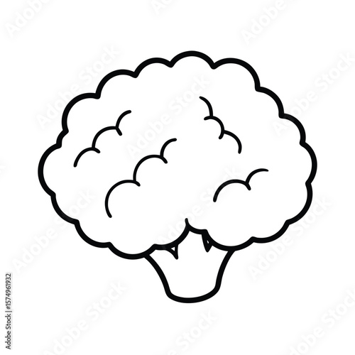 vector illustration of a cauliflower