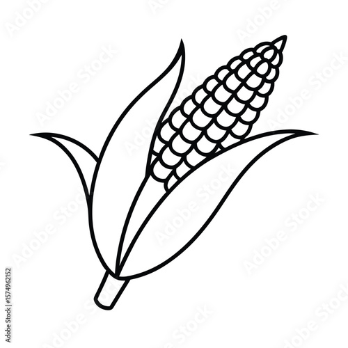 corn cob vector