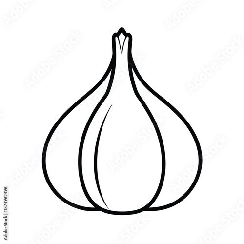 red onion vector illustration