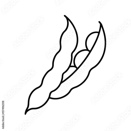 green beans vector illustration