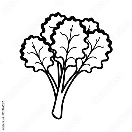 kale vector tree silhouette