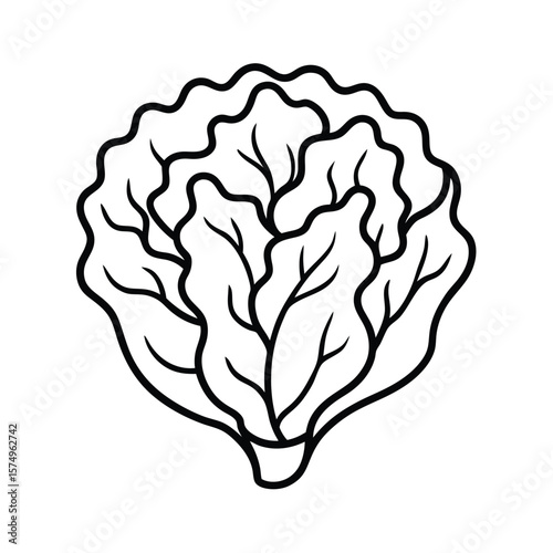 vector illustration of an abstract tree lettuce