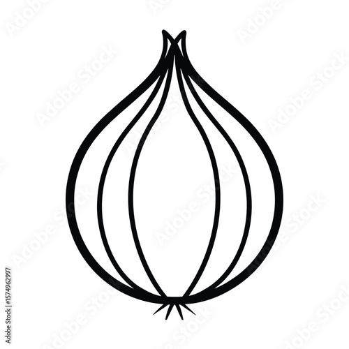 red onion vector illustration
