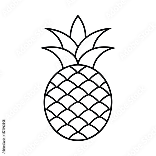 vector illustration of pineapple