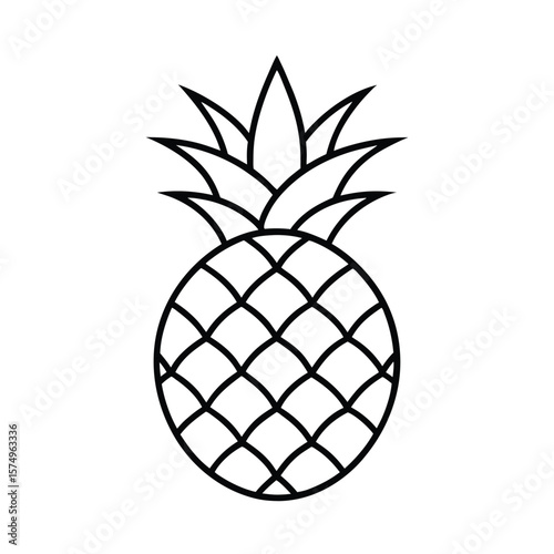 vector illustration of pineapple