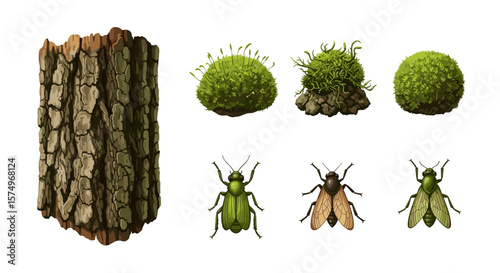 Illustration featuring bark texture mossy clumps and various insect species on a white background