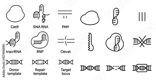 Collection of DNA symbols including a DNA double helix, a DNA molecule, and a DNA strand