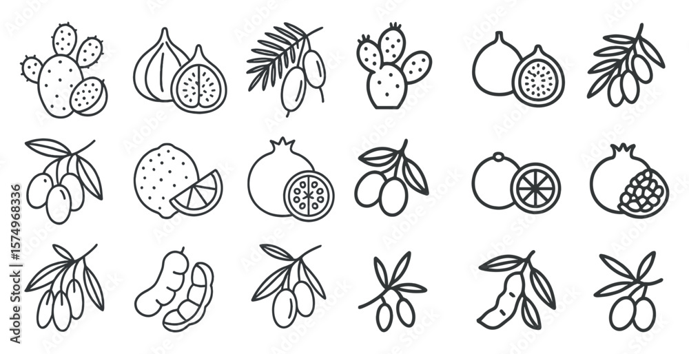 Fototapeta premium Collection of fruit and vegetables in a line drawing style. The fruits and vegetables include oranges, lemons, pomegranates, and olives