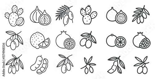 Collection of fruit and vegetables in a line drawing style. The fruits and vegetables include oranges, lemons, pomegranates, and olives