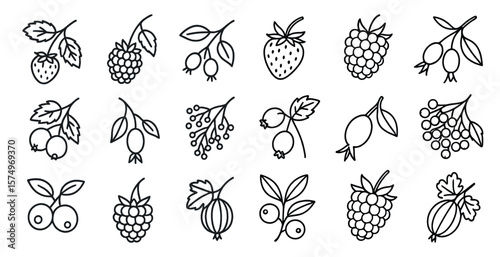 Collection of fruit icons, including strawberries, raspberries, blueberries, and blackberries