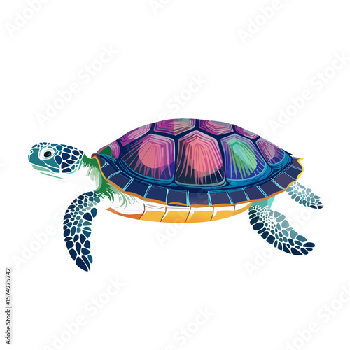 Colorful Turtle Character Isolated on a Transparent Background