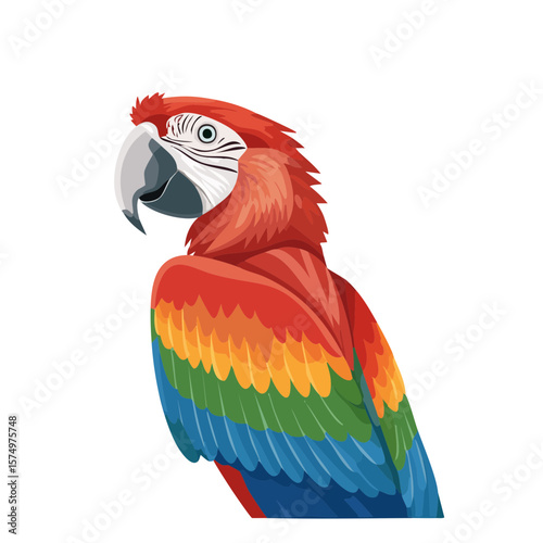 Colorful Macaw Bird Isolated on a Transparent Background