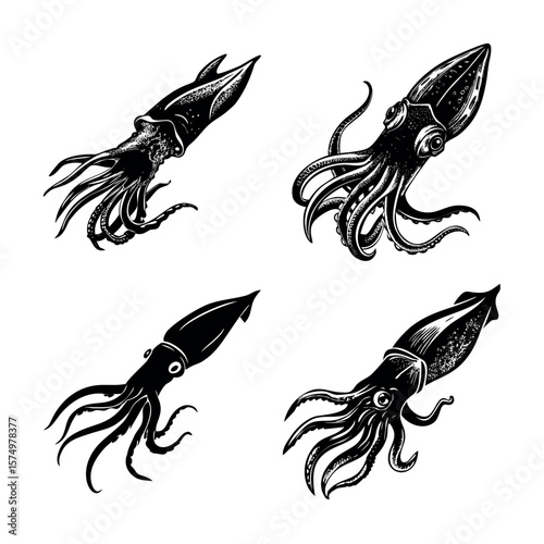 Inkling Sea Creatures: A meticulously crafted collection of illustrated squids in varying dynamic poses, capturing the essence of aquatic life and the wonders of the ocean's depths. 