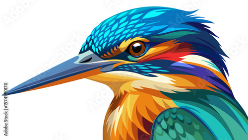 portrait kingfisher very beautiful white background