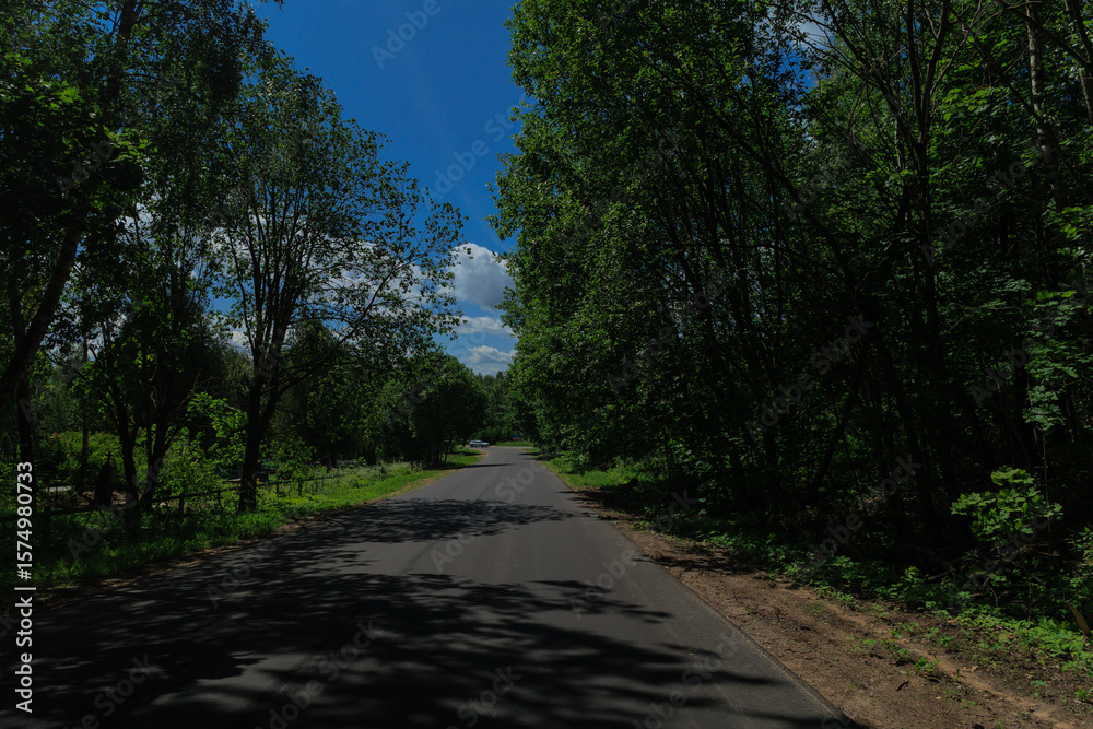 Fototapeta premium Road view on a summer day. Highways, roadside and white road line markings.