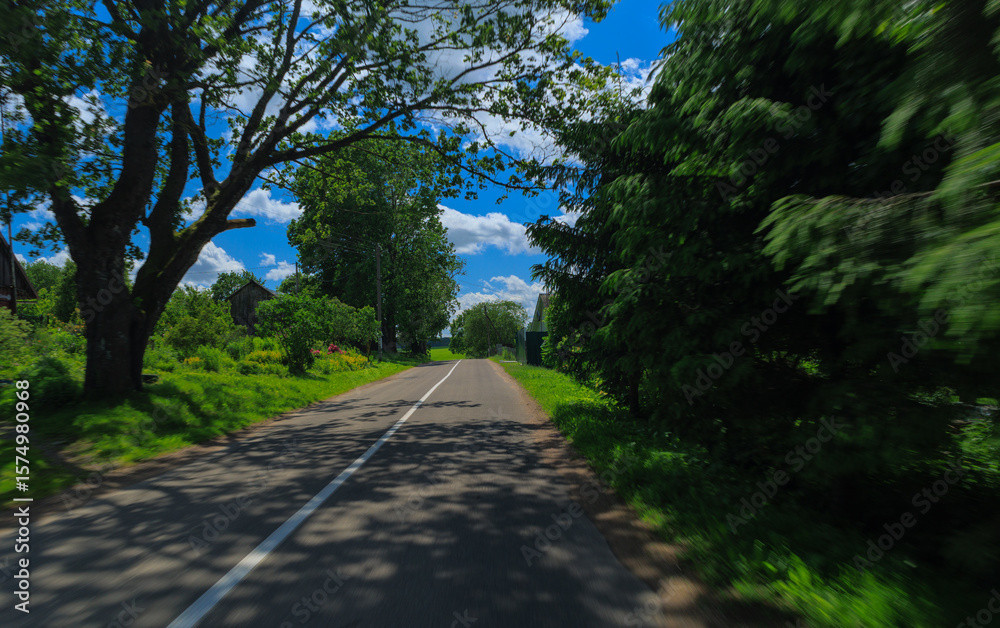 Obraz premium Road view on a summer day. Highways, roadside and white road line markings. 