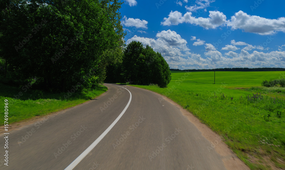 Naklejka premium Road view on a summer day. Highways and roadside, white road line markings.