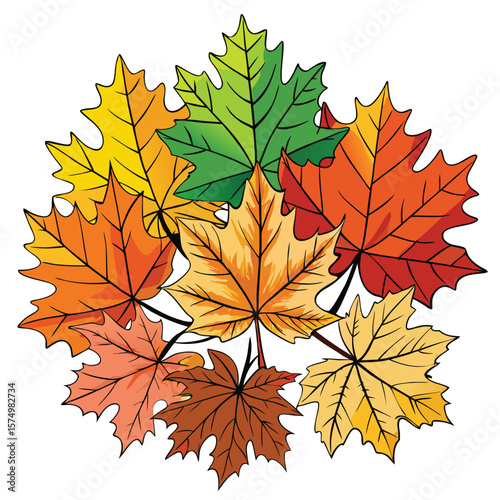 Vibrant Autumn Maple Leaves A Flat Lay Illustration