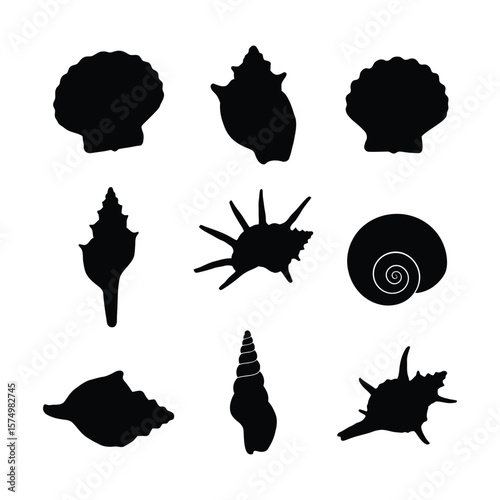 Silhouetted collection of various seashells, displayed on white background.