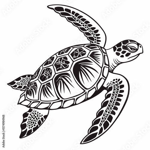turtle vector illustration