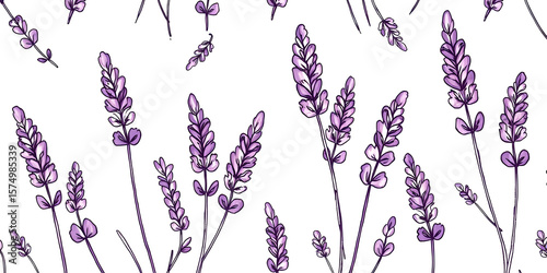 Hand Drawn Lavender Floral Seamless Pattern on White Background